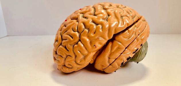 آثار الجلطة الدماغية على الذاكرة
