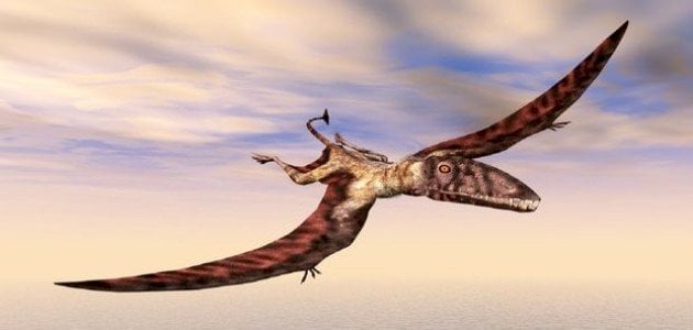 أبرز أنواع الديناصورات الطائرة
