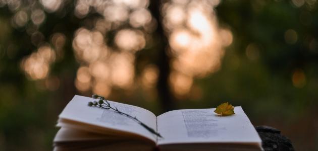 أبيات من شعر المدح في العصر الجاهلي