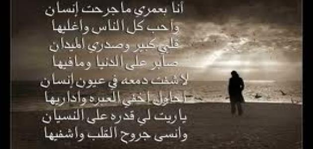 أجمل شعر مدح