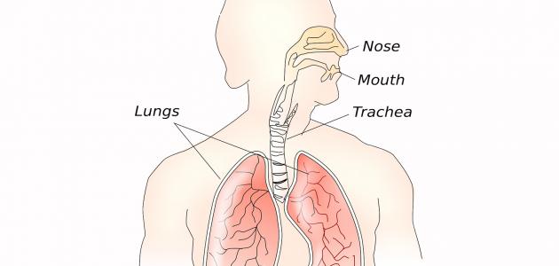 أسباب الزغطة المستمرة