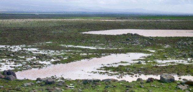 أسماء السهول الفيضية في الوطن العربي