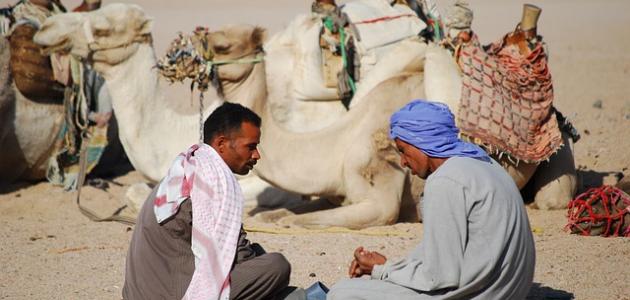 أشعار العرب في الحكمة