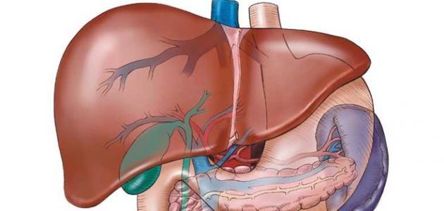 أعراض الإصابة بفيروس سي النشط