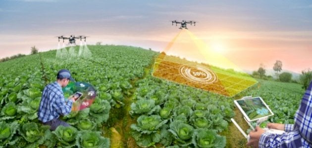 أهمية التكنولوجيا في الزراعة