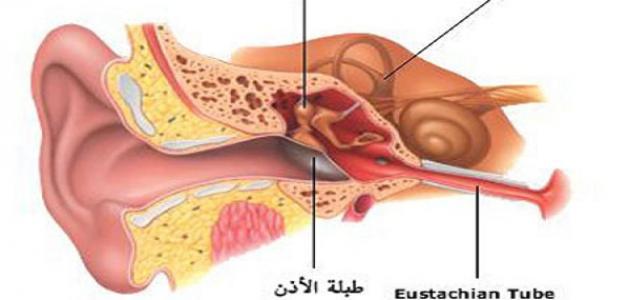 أين تقع قناة استاكيوس