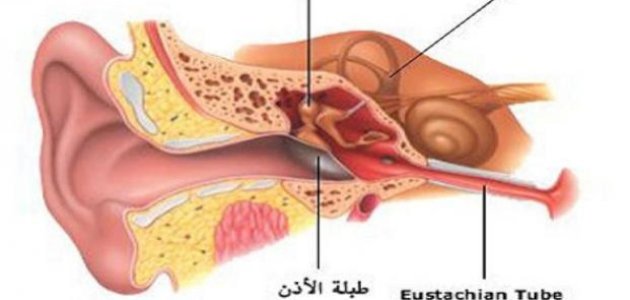 أين توجد قناة استاكيوس