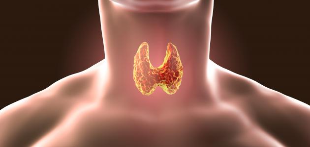 ارتفاع الأجسام المضادة للغدة الدرقية