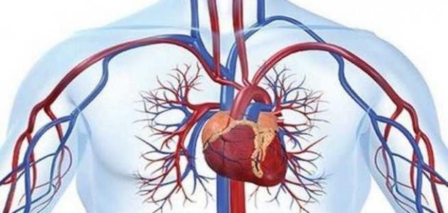 اضطراب الدورة الدموية