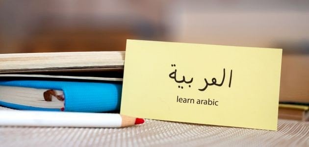 الأجناس الأدبية في اللغة العربية