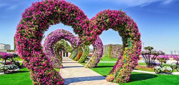 الحديقة المعجزة في دبي (Dubai Miracle Garden)