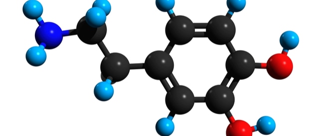 الدوبامين ما هو؟ كيف يؤثر علينا؟ وكيف نزيده؟