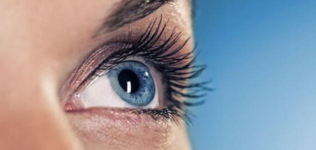 امراض العيون وعلاجها