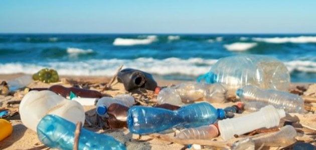 بحث عن التلوث البلاستيكي