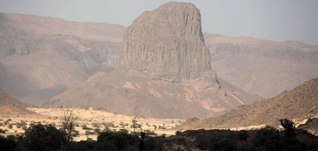 بم تشتهر الجزائر