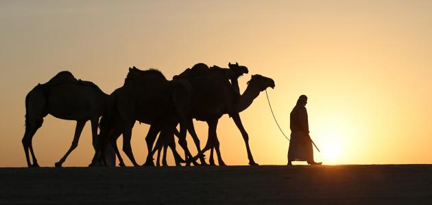 تعريف الصحابي