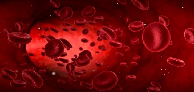 تعريف خلايا الدم الحمراء