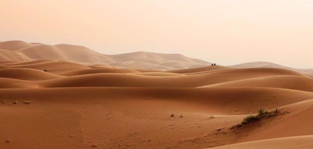 تفسير الرمل في المنام