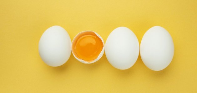 تفسير رؤية البيض في المنام