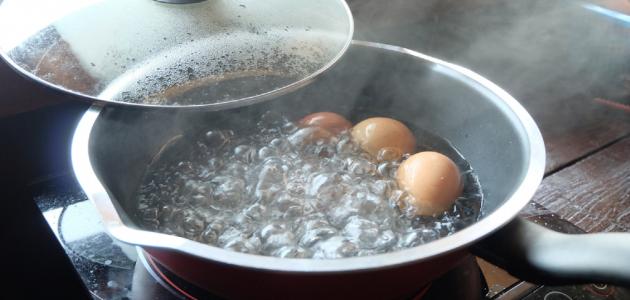 درجات سلق البيض