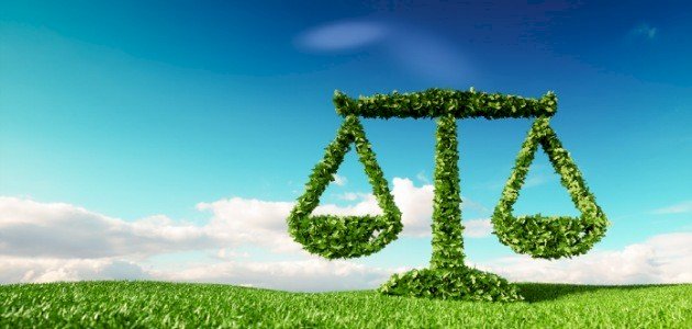 دور الإنسان في المحافظة على التوازن البيئي