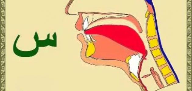 صفات الحروف ومخارجها