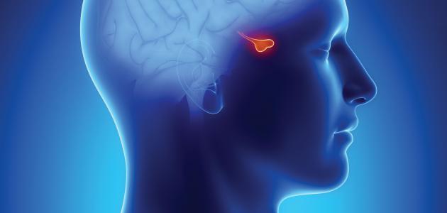 طرق علاج ورم الغدة النخامية