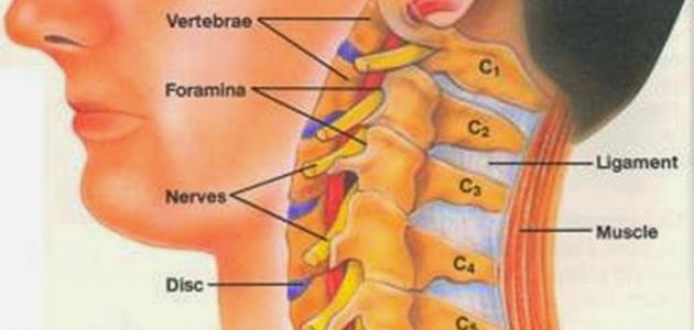 علاج غضروف الرقبة