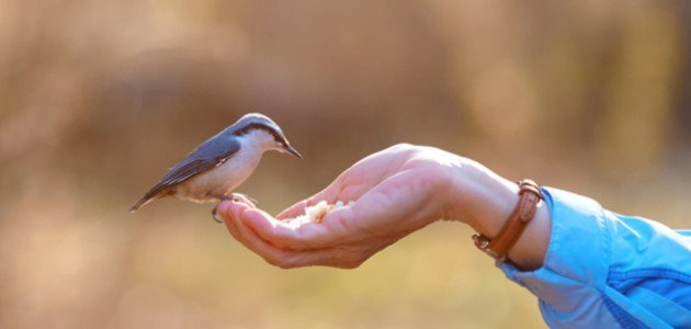 عمل الخير في الإسلام