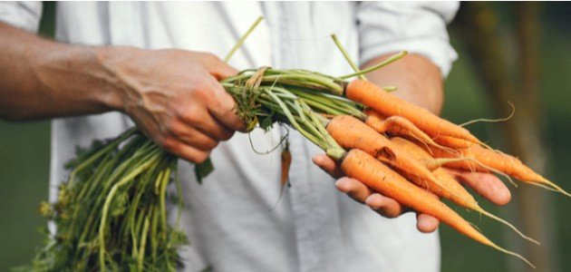 فوائد الجزر للجنس فوائد مزعومة أم صحيحة علميًّا؟