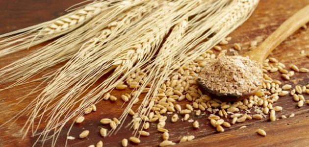 فوائد حبوب القمح