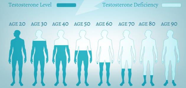 فوائد وأضرار هرمون التستوستيرون