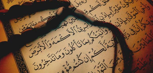 كلمات عن اللغة العربية جميلة