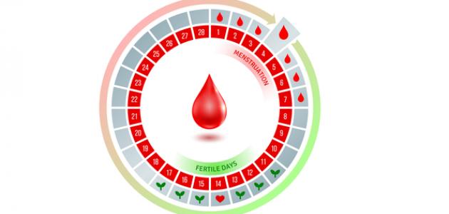 كم تكون مدة الدورة الشهرية