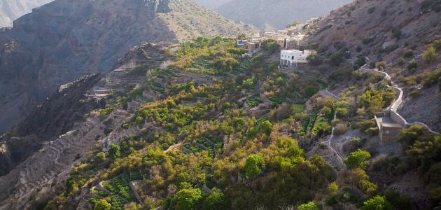 كم يبلغ ارتفاع الجبل الأخضر في عمان