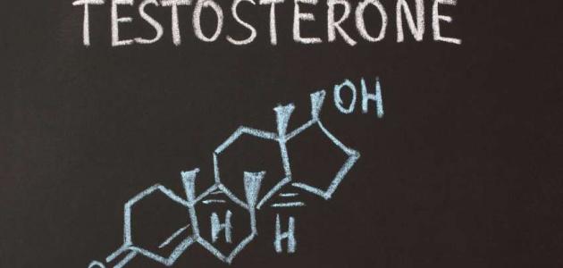 كيف أحصل على هرمون التستوستيرون