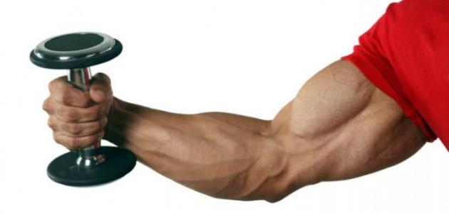 كيف أقوي عضلات اليد