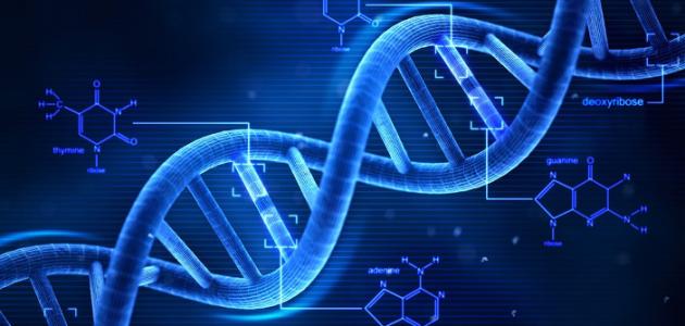 كيف يتم تحليل DNA