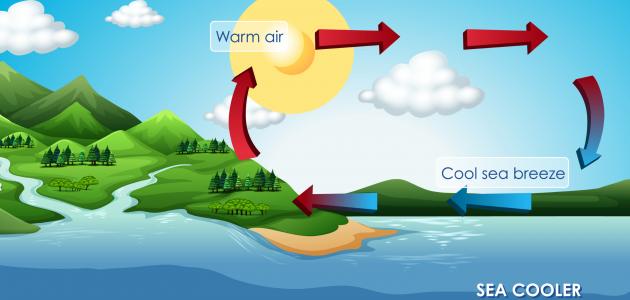 كيف يحدث نسيم البر والبحر والوادي والجبل