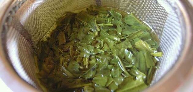 كيفية إعداد الشاي الأخضر