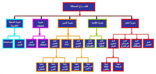 كيفية عمل هيكل تنظيمي لشركة