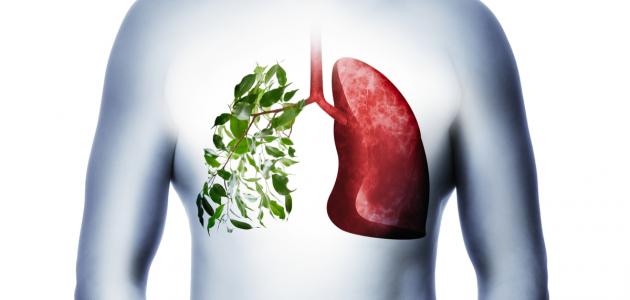 كيفية وقاية الجهاز التنفسي