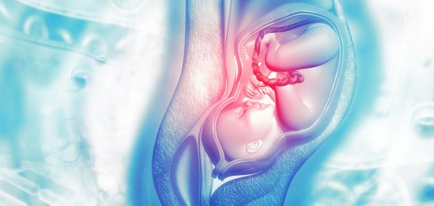 كيفية ولادة الجنين من بطن امه