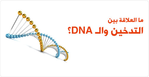 ما العلاقة بين تدخين السجائر والـ DNA؟