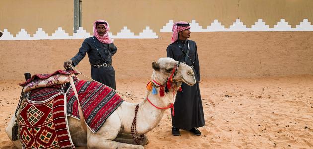 ما الفرق بين القبيلة والعشيرة