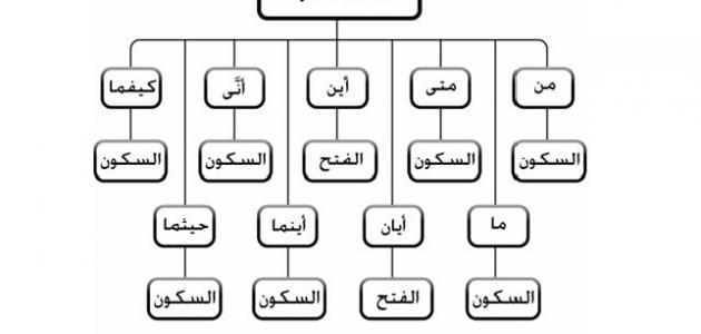 ما هي ادوات الشرط