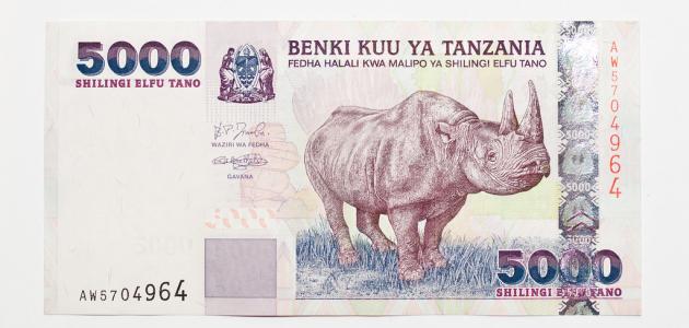 ما هي العملة المستخدمة في تنزانيا