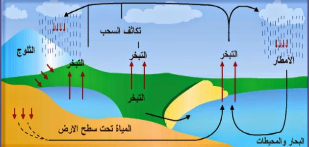 ماذا يطلق على عملية تحول المادة الصلبة إلى سائلة