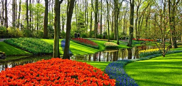 مدينة الورود في هولندا