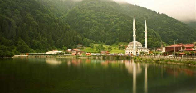 مدينة درابزين في تركيا